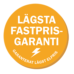 Fastprisgaranti med lägsta elpris till företag